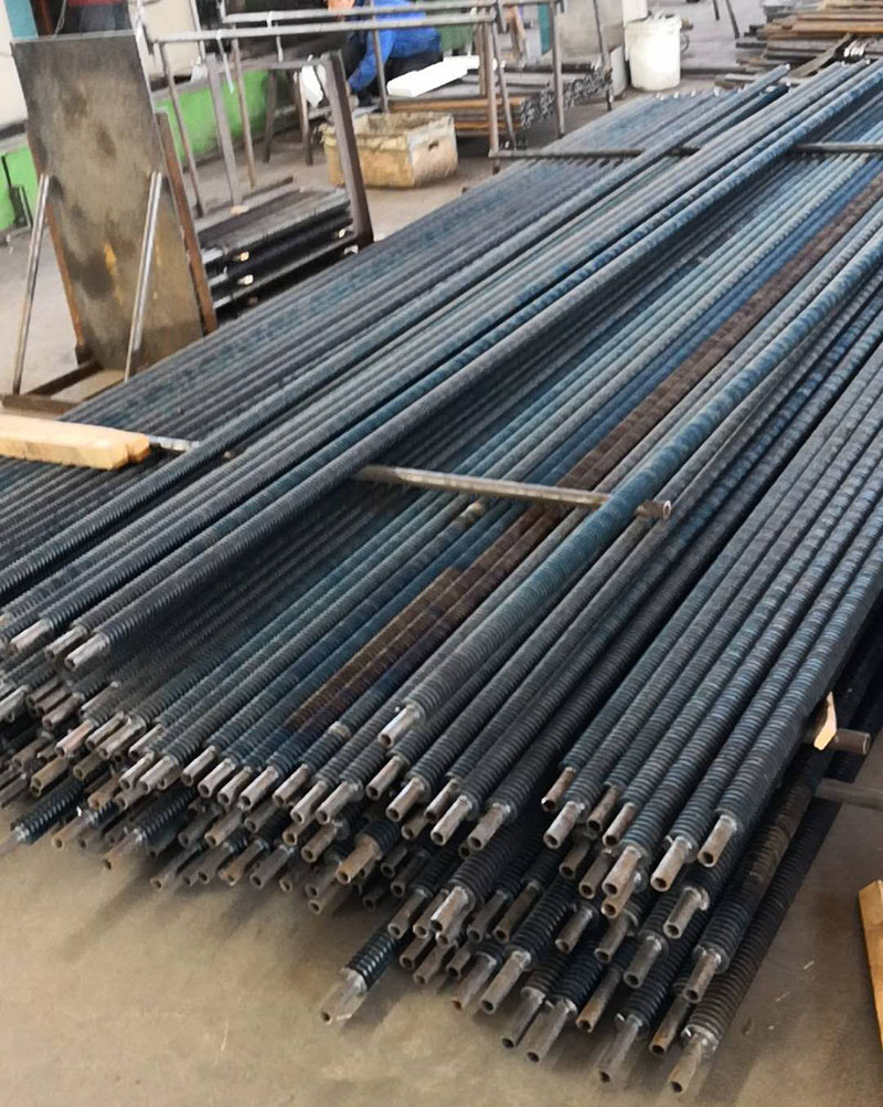 ���l����Ƭ��